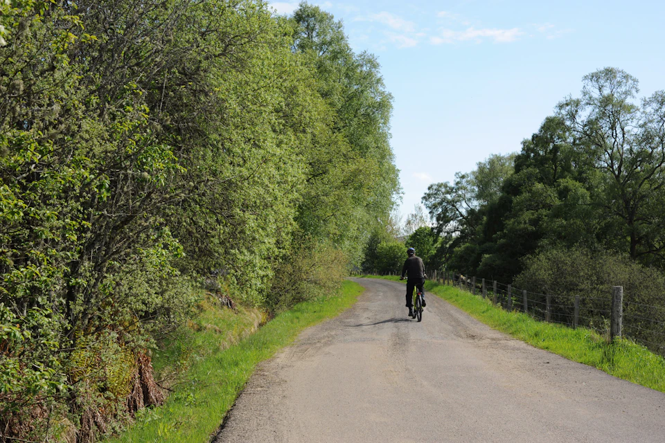 A lone cyclist riding up a quiet country lane lined with hedgerows and trees